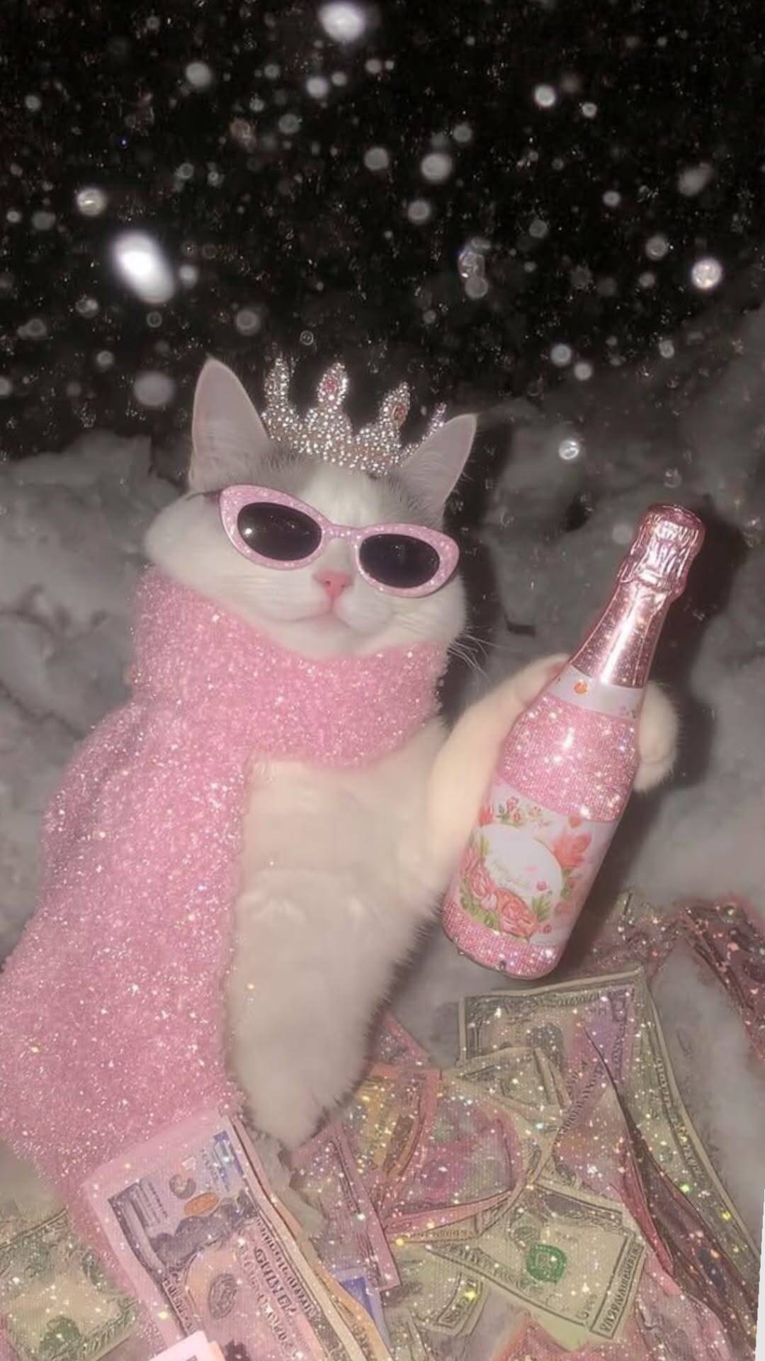 Funny Glamorors Cat with Champagne Wallpaper for Mobile/iPhone 4K