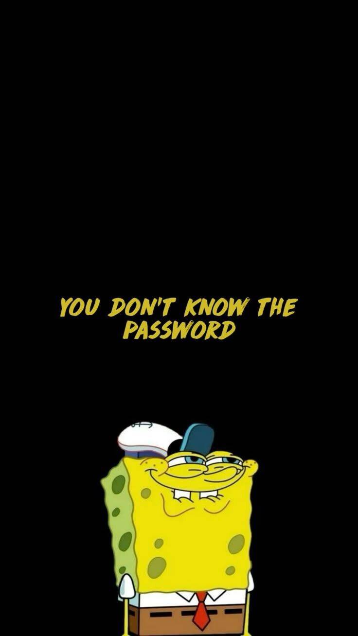 Fondo de Pantalla Divertido de Bob Esponja con Frase Divertida para Celular/iPhone 4K