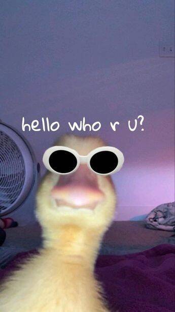 Fondo de Pantalla de Patito Divertido con Gafas para Celular/iPhone 4K