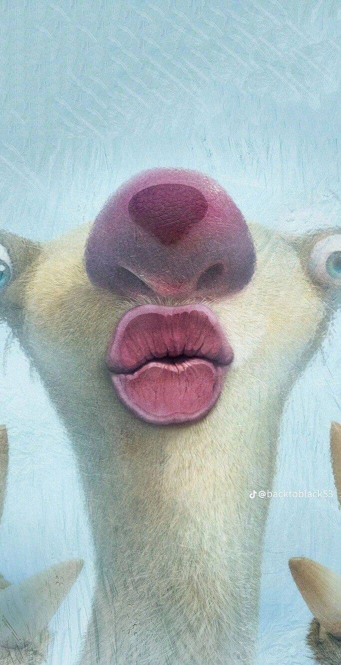 Fondo de Pantalla de Animales Divertidos con Cara Divertida para Celular/iPhone 4K