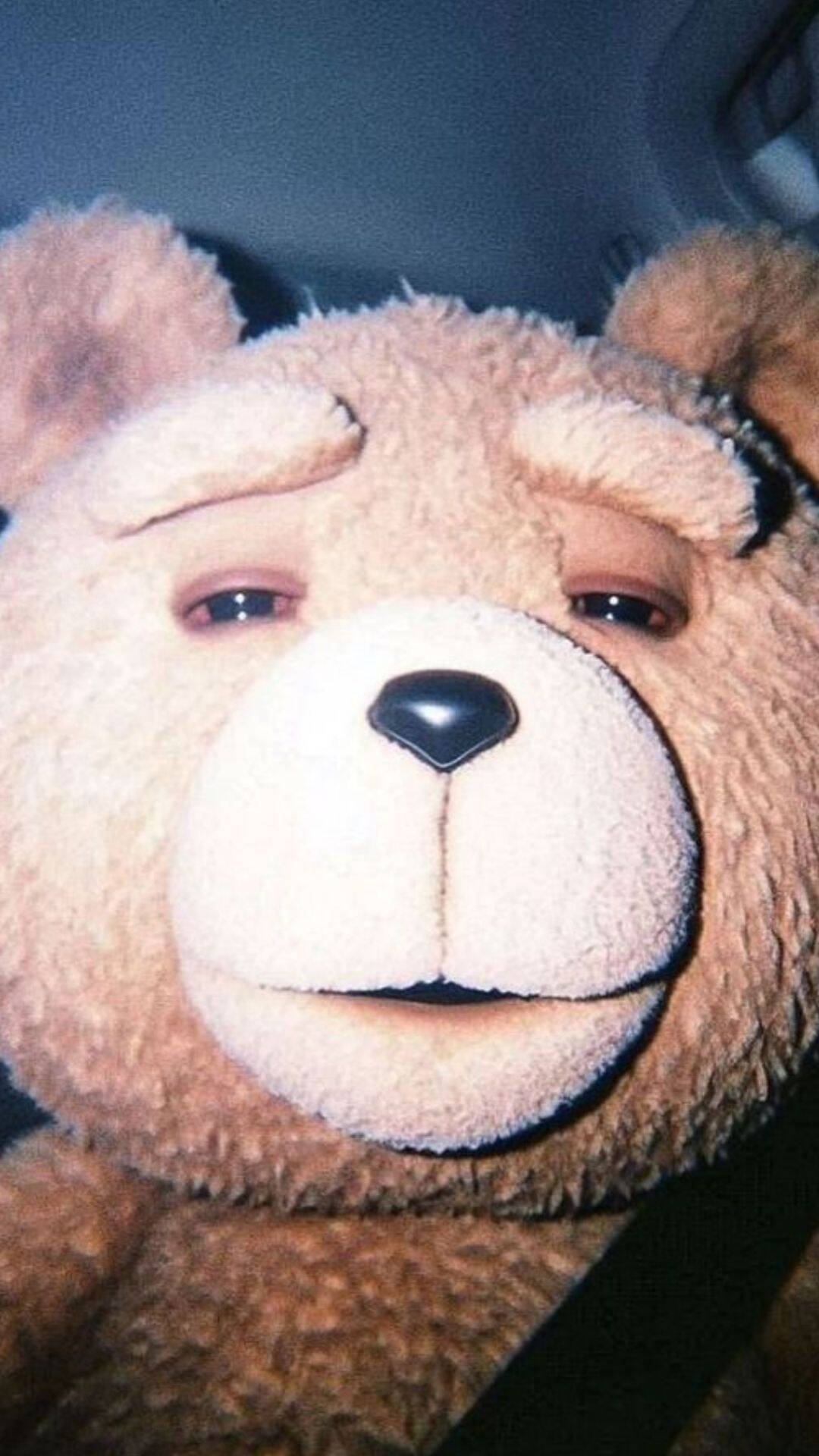 Fondo de Pantalla Divertido de Osito de Peluche para Móvil/iPhone 4K