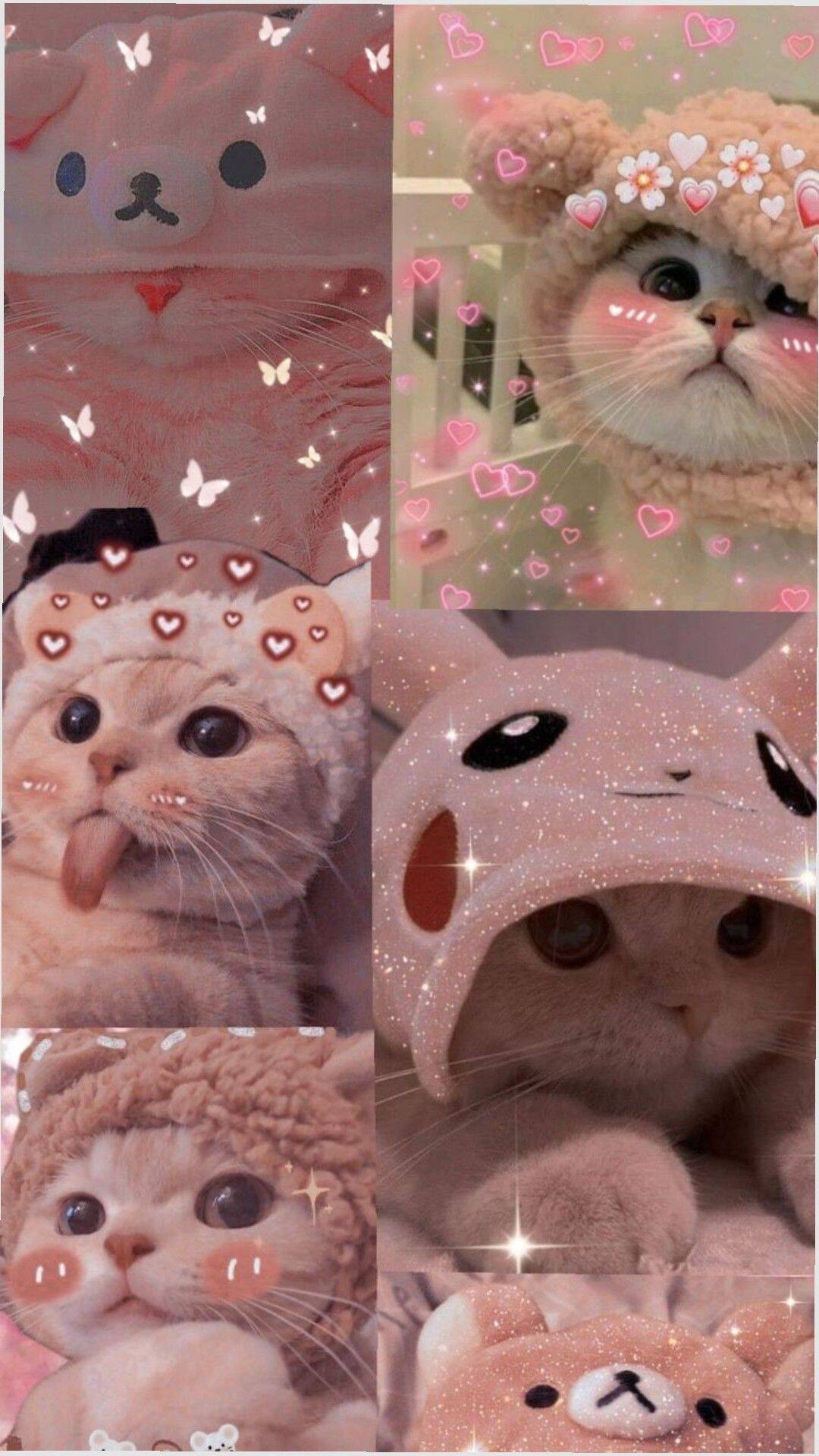 Fondo de Pantalla de Lindo Gato con Sombrero Kawaii para Móvil/iPhone 4K