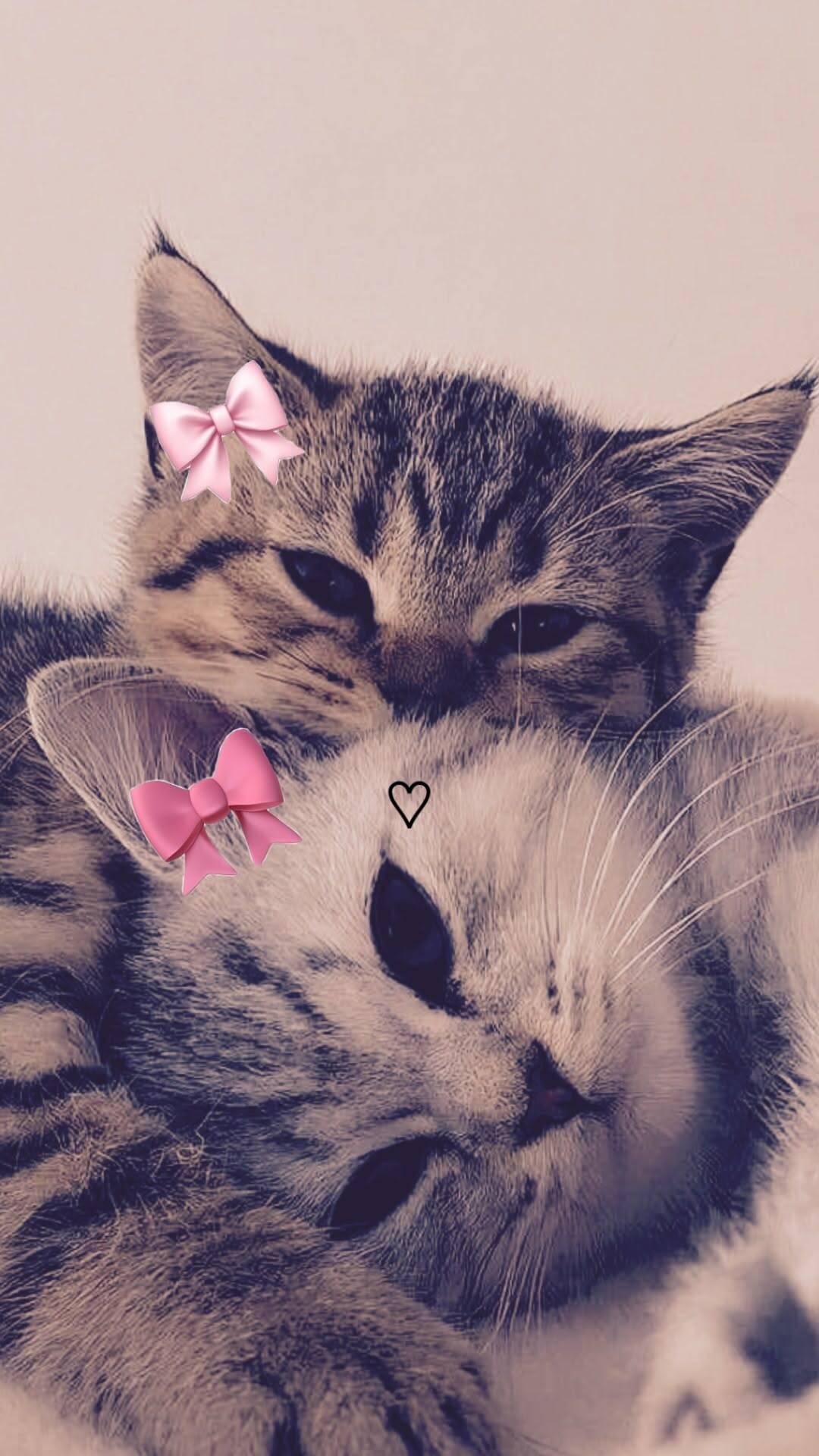 Fondo de Pantalla de Lindos Gatitos con Lazos para Celular/iPhone 4K