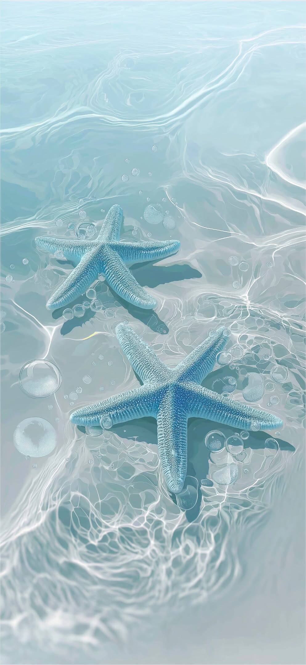 Blue Starfish Wallpaper for Cell Phone/iPhone 4K