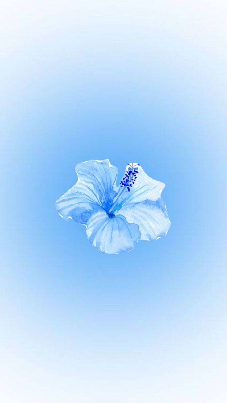 Blue Hibiscus Flower Wallpaper for Cell Phone/iPhone 4K
