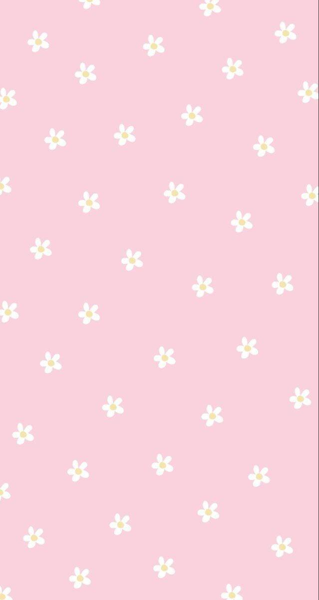 Fondo de Pantalla Rosa con Flores para Celular/iPhone