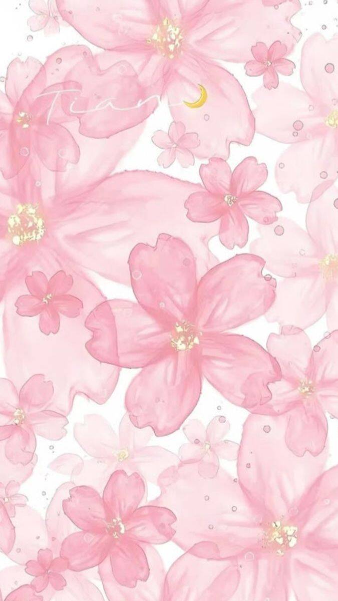 Fondo de Pantalla Rosa con Flores para Celular/iPhone