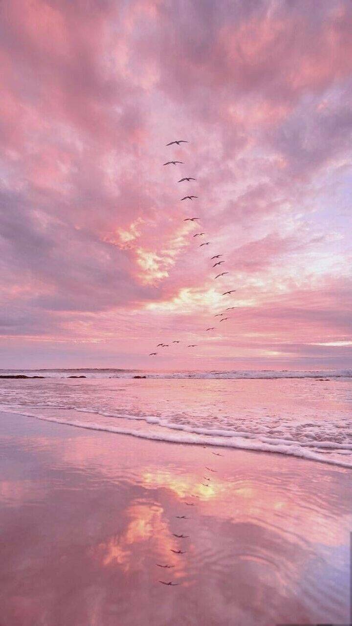 Fondo de pantalla de Cielo rosado del atardecer para teléfono celular/iPhone