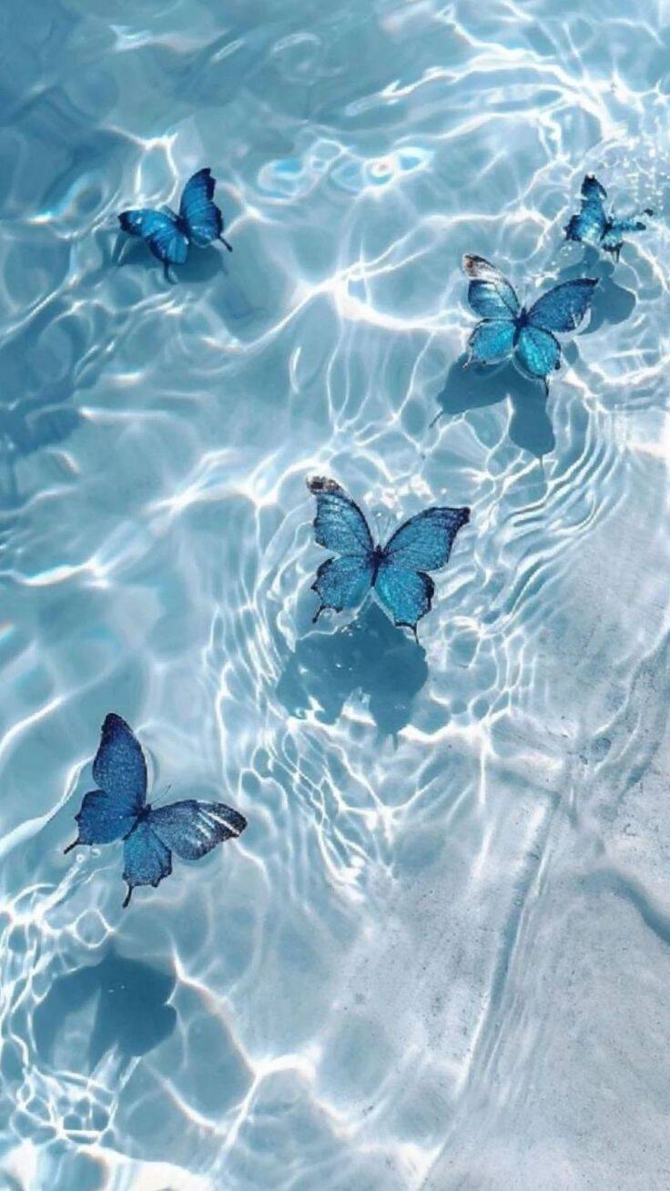 Blue Wallpaper with Butterflies in the Water for Cell Phone/iPhone 4K