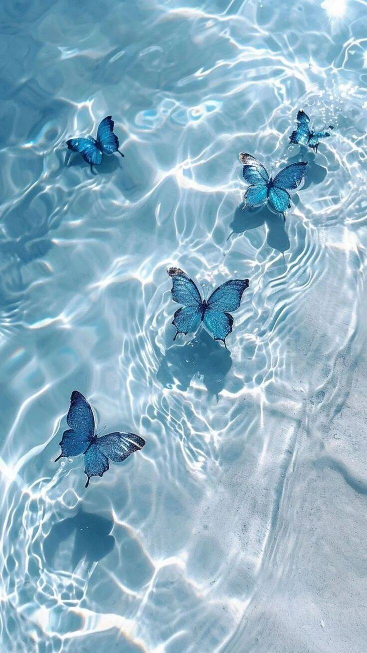 Blue Wallpaper with Butterflies in the Water for Cell Phone/iPhone 4K