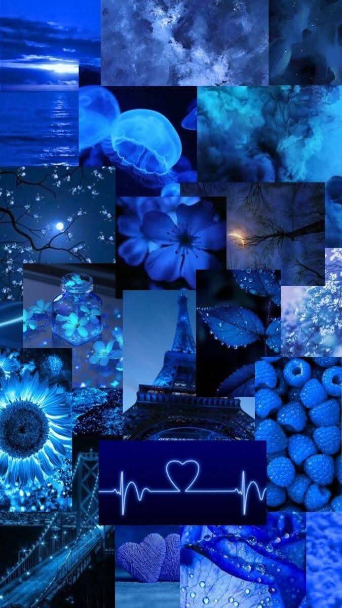 Fondo de Pantalla Azul con Flores y Elementos Naturales para Celular/iPhone 4K
