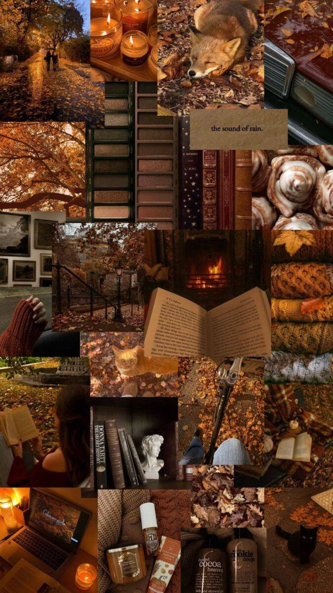Papel de Parede de Outono com Livros e Folhas Secas para Celular/iPhone