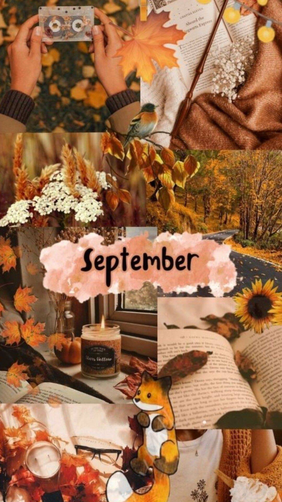 Papel de Parede de Outono com Tema Setembro para Celular/iPhone