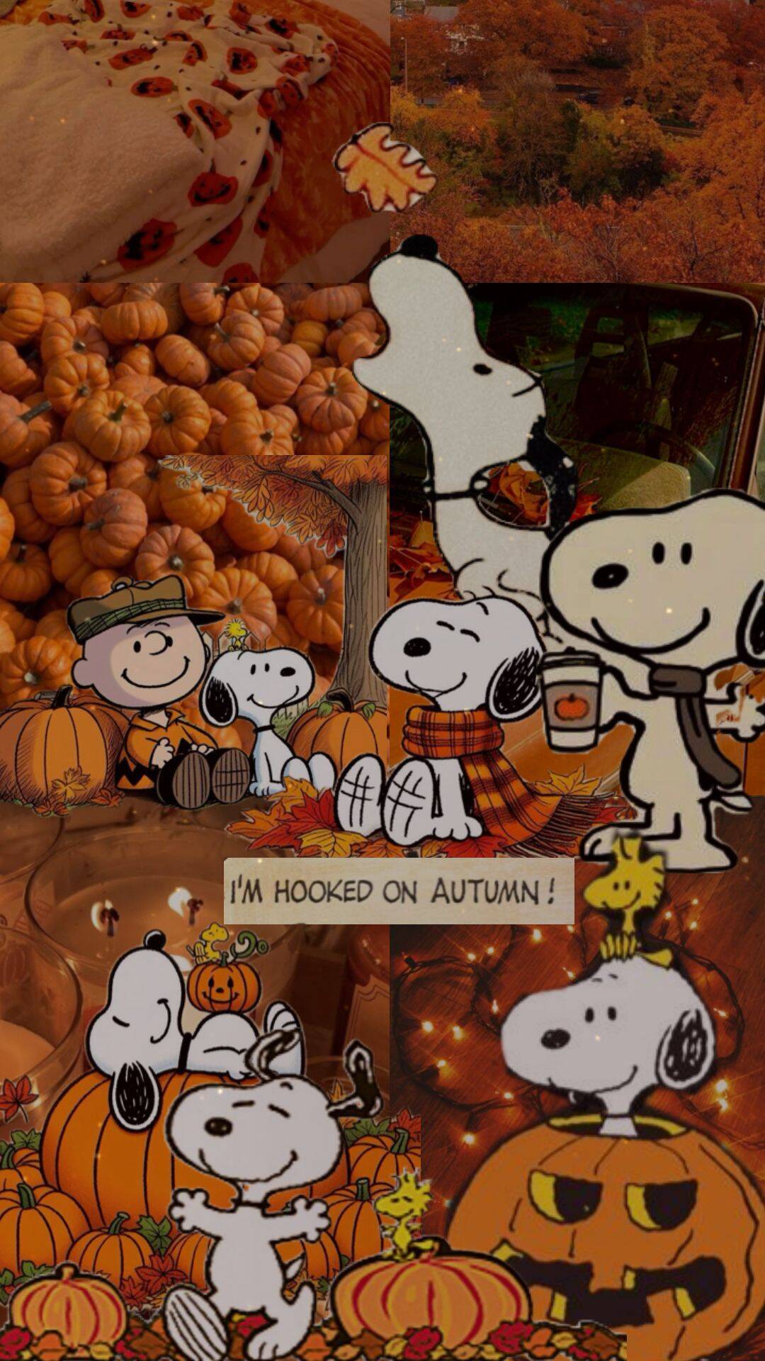 Papel de Parede de Outono com Snoopy e Abóboras para Celular