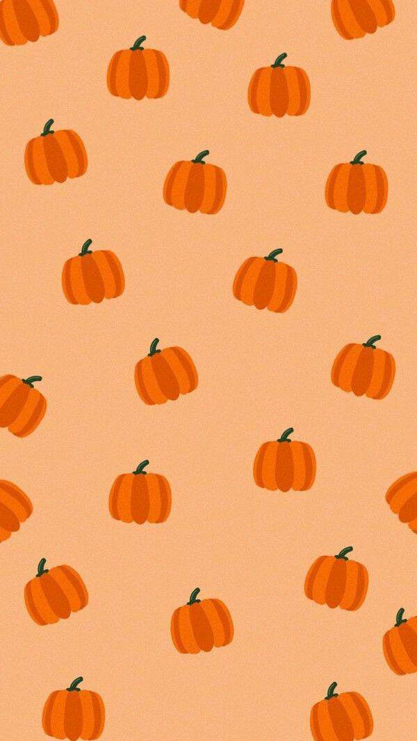 Fondo de Pantalla de Otoño con Calabazas para Celular/iPhone