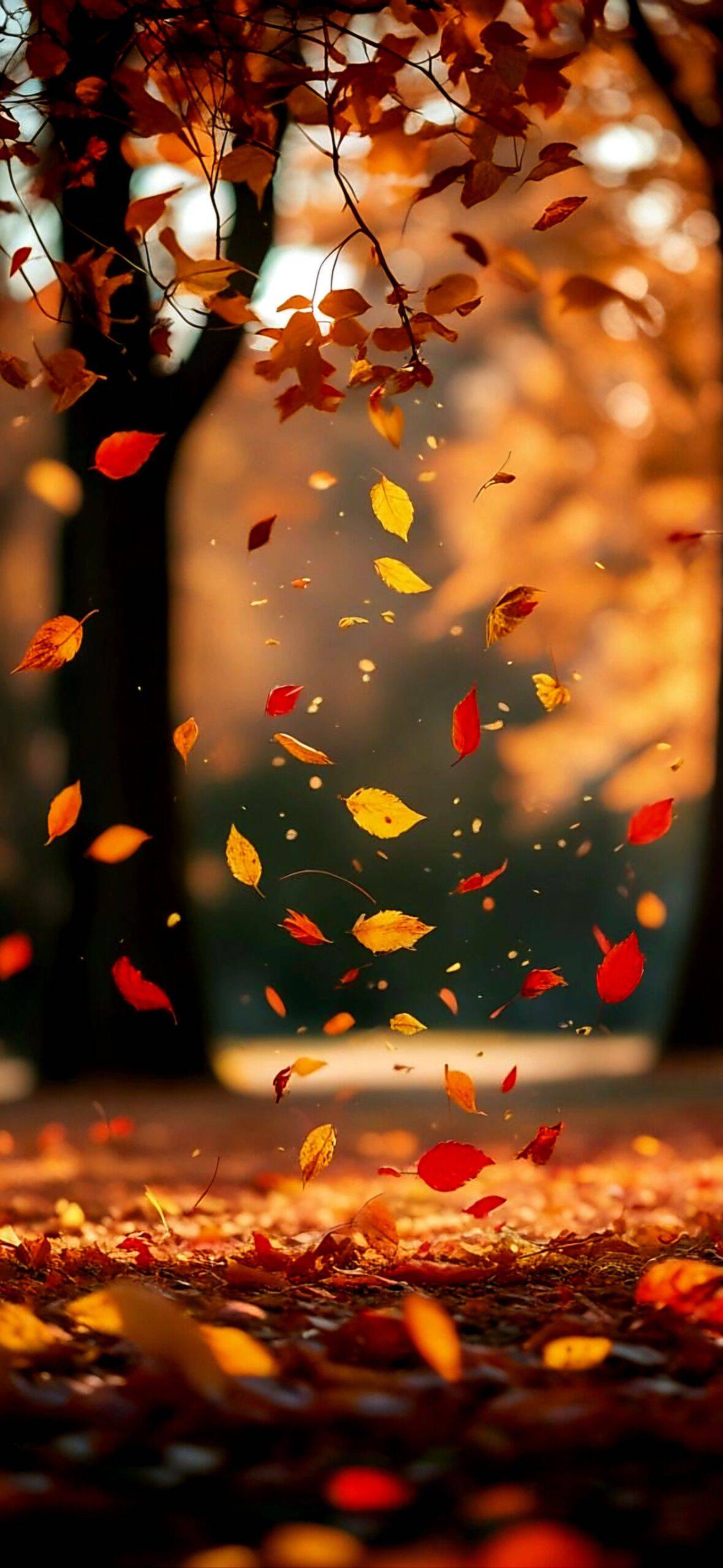 Fondo de Pantalla de Otoño con Hojas de Colores en el Viento para Celular/iPhone