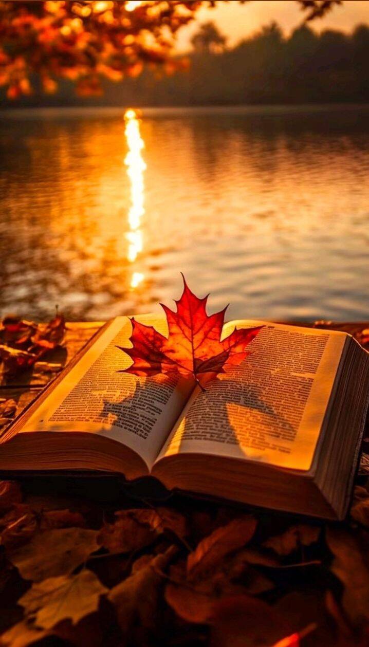 Fondo de Pantalla de Otoño con Libro y Hoja al Atardecer para Móvil/iPhone