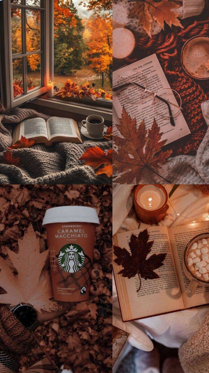Fondo de Pantalla de Otoño con Libros y Hojas para Celular/iPhone