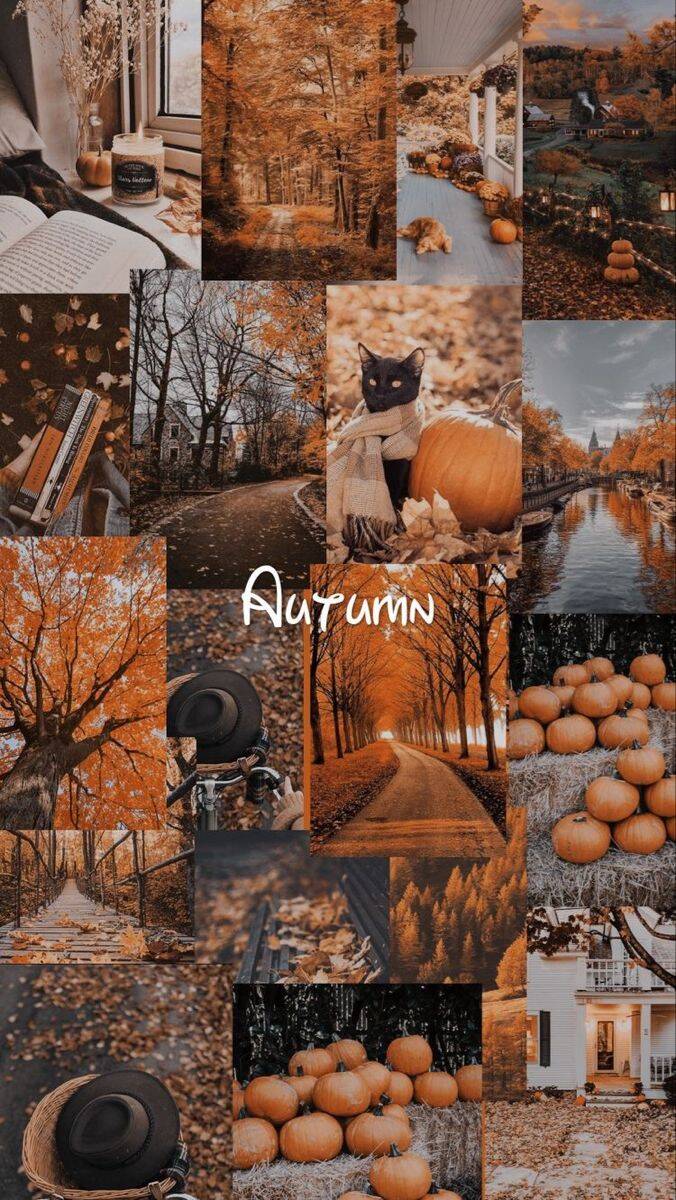 Fondo de Pantalla de Otoño con Collage de Imágenes para Celular/iPhone