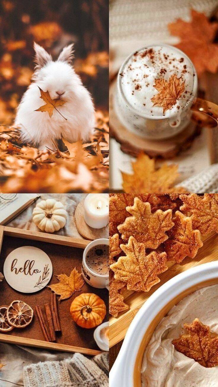 Fondo de Pantalla de Otoño con Conejo y Hojas para Celular/iPhone