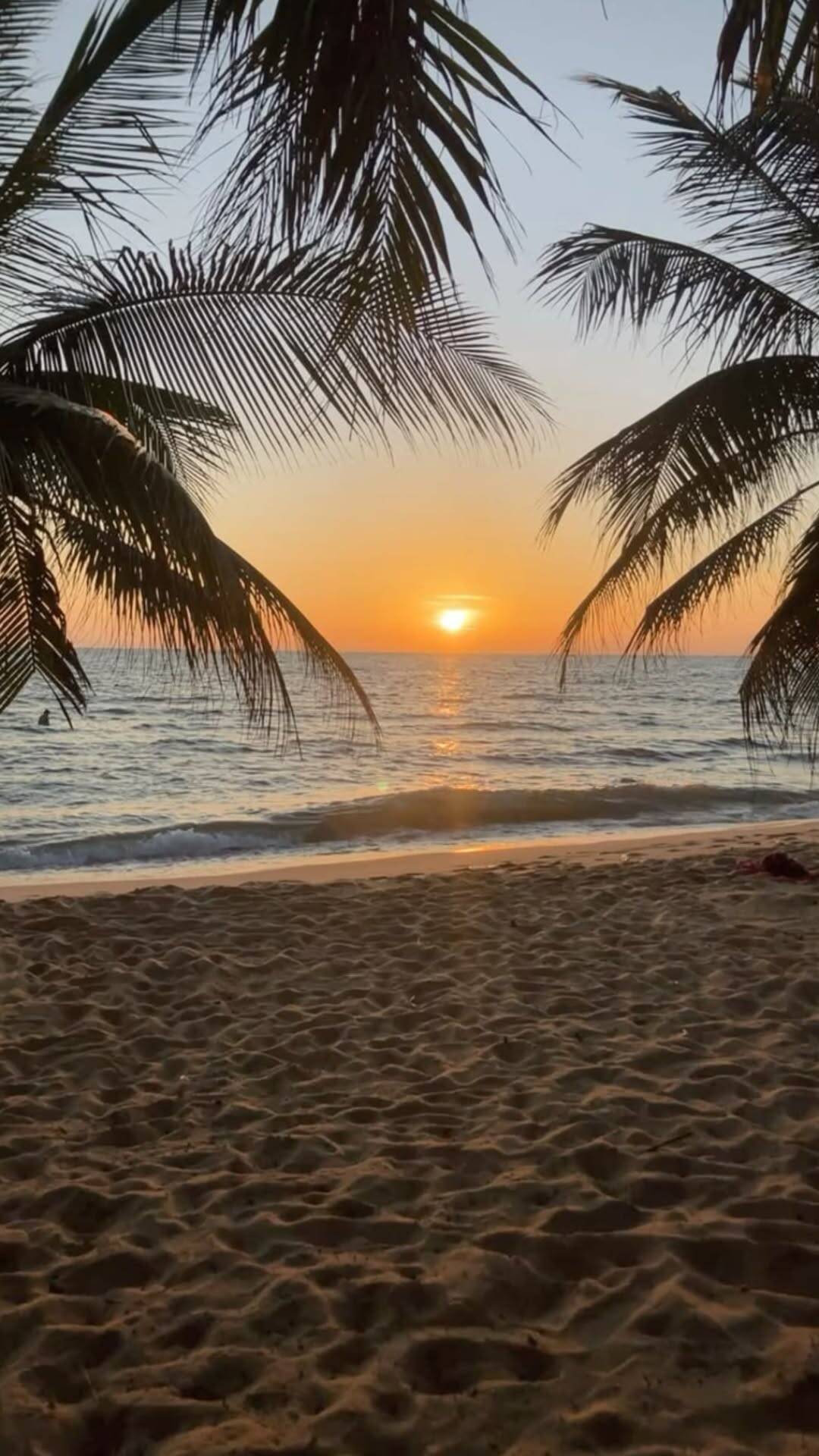 Papel de Parede de Praia com Pôr do Sol e Palmeiras para Celular/iPhone 4K