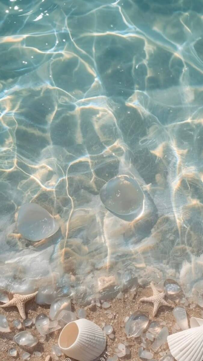 Papel de Parede de Praia com Água Cristalina e Conchas para Celular/iPhone 4K