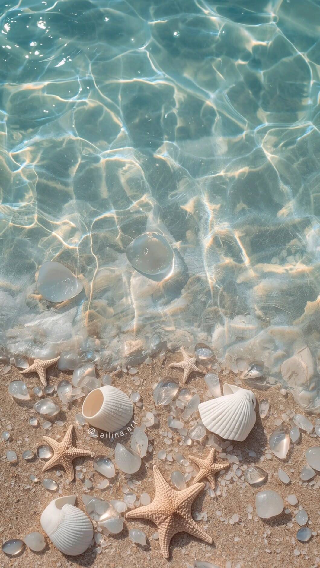 Papel de Parede de Praia com Conchas e Estrelas do Mar para Celular/iPhone 4K