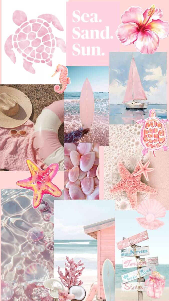 Papel de Parede de Praia com Tartarugas e Conchas para Celular/iPhone 4K
