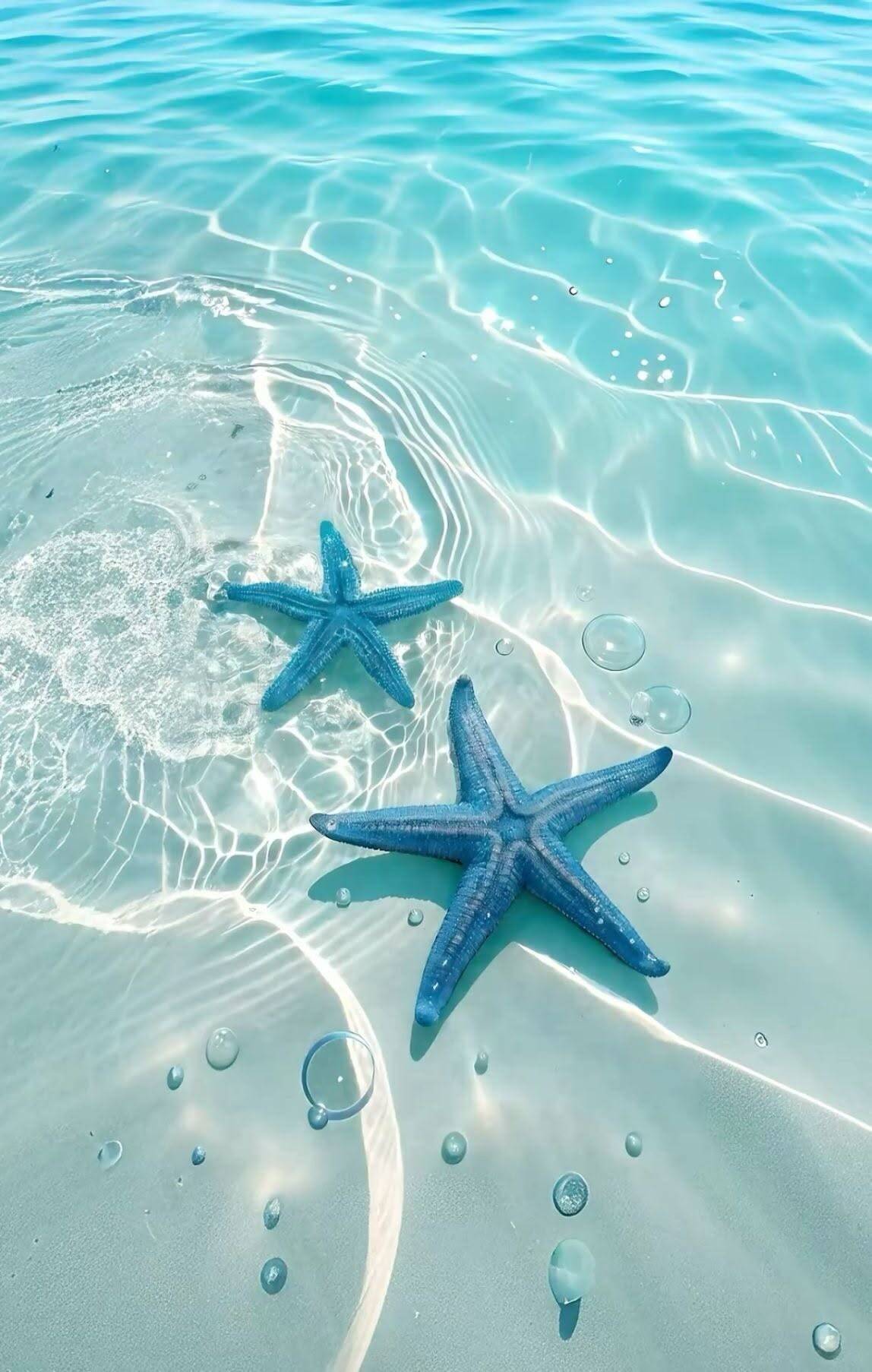 Papel de Parede de Praia com Estrelas do Mar e Água Cristalina para Celular/iPhone 4K