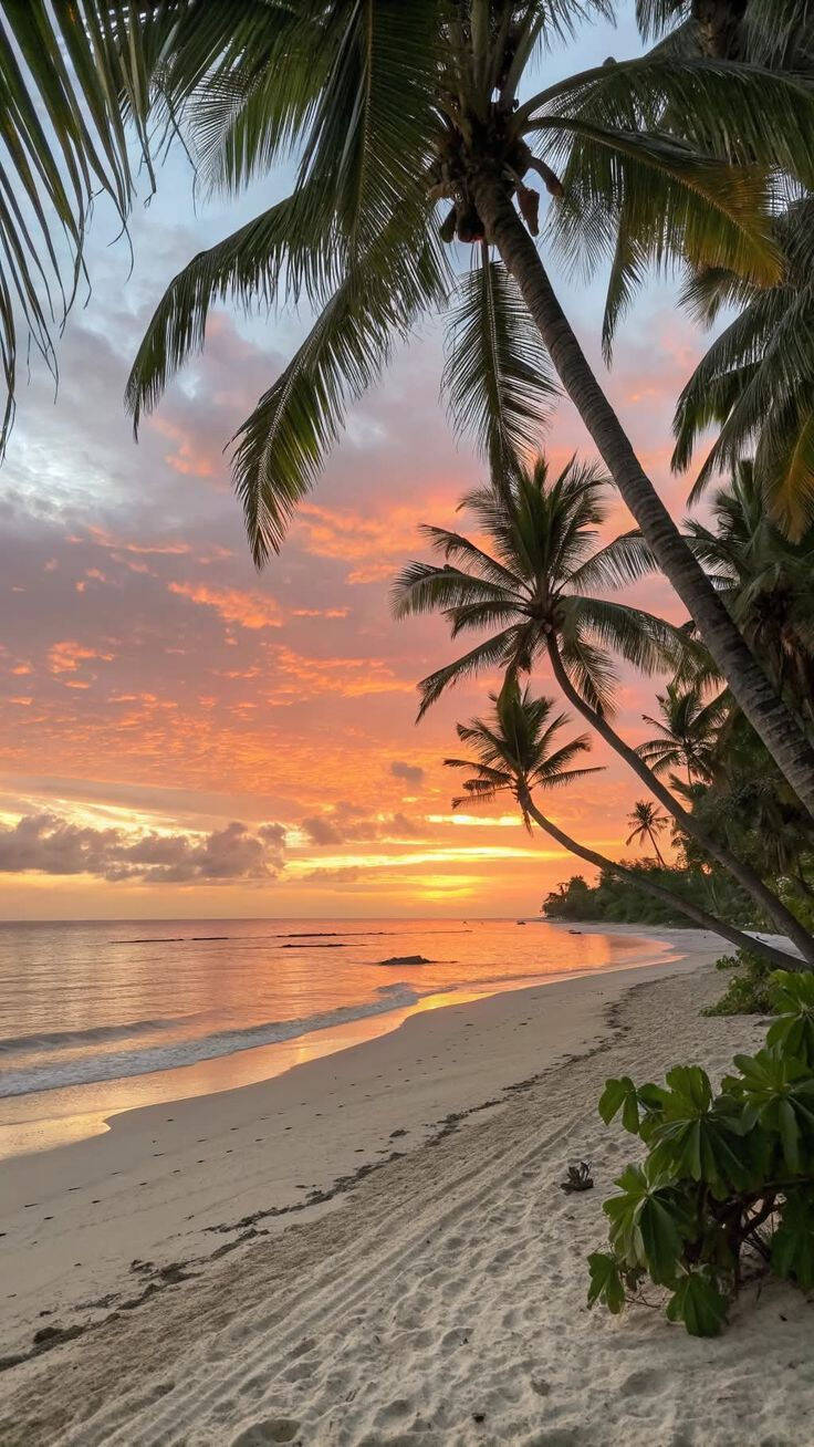 Papel de Parede de Praia com Pôr do Sol e Palmeiras para Celular/iPhone 4K