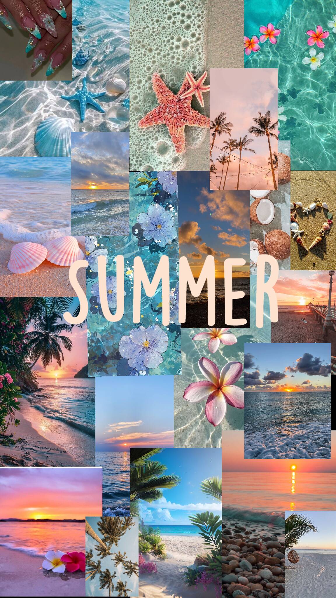 Fondo de Pantalla de Playa con Verano y Conchas para Celular/iPhone 4K