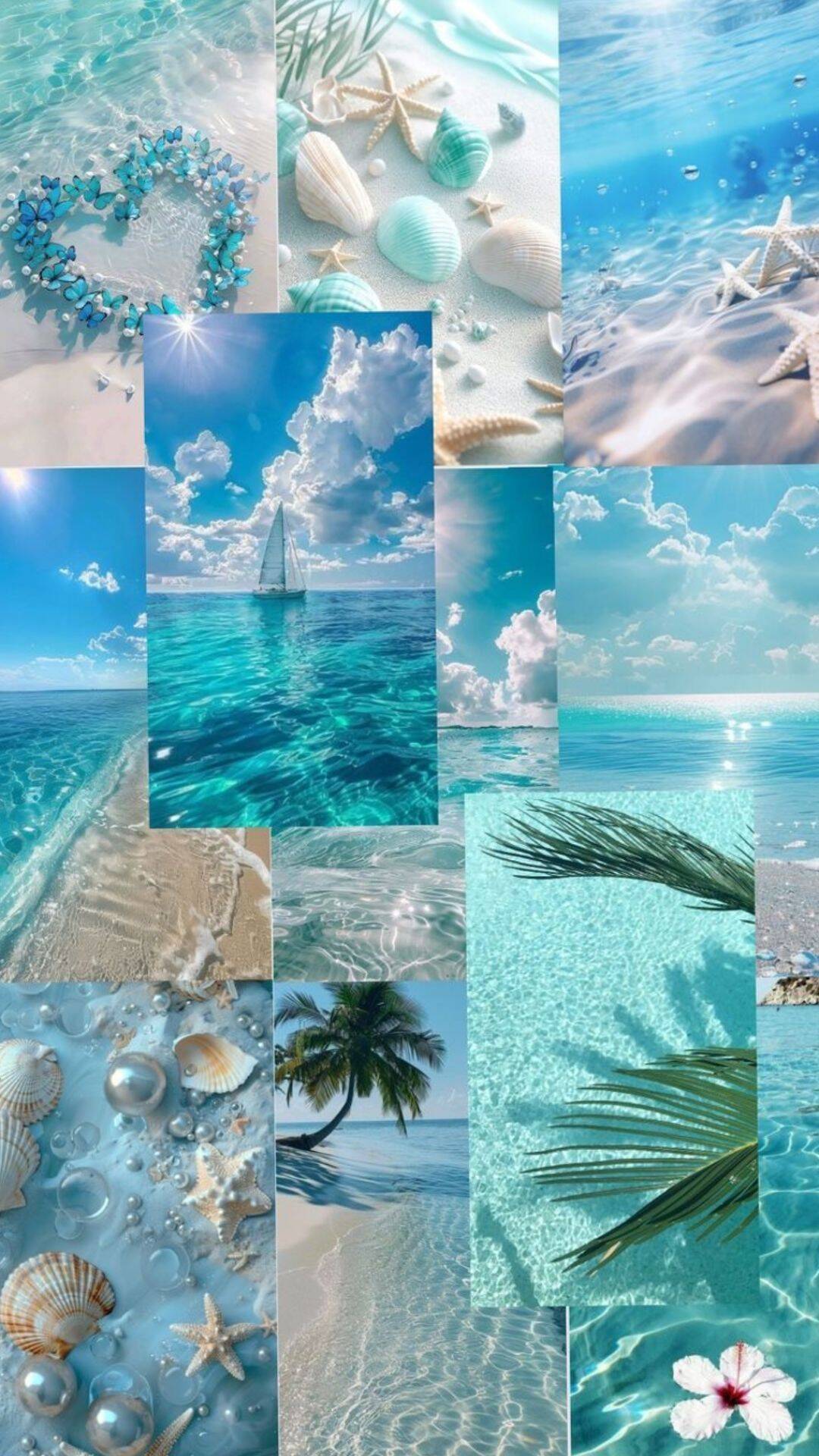 Fondo de Pantalla de Playa con Conchas y Agua Cristalina para Celular/iPhone 4K