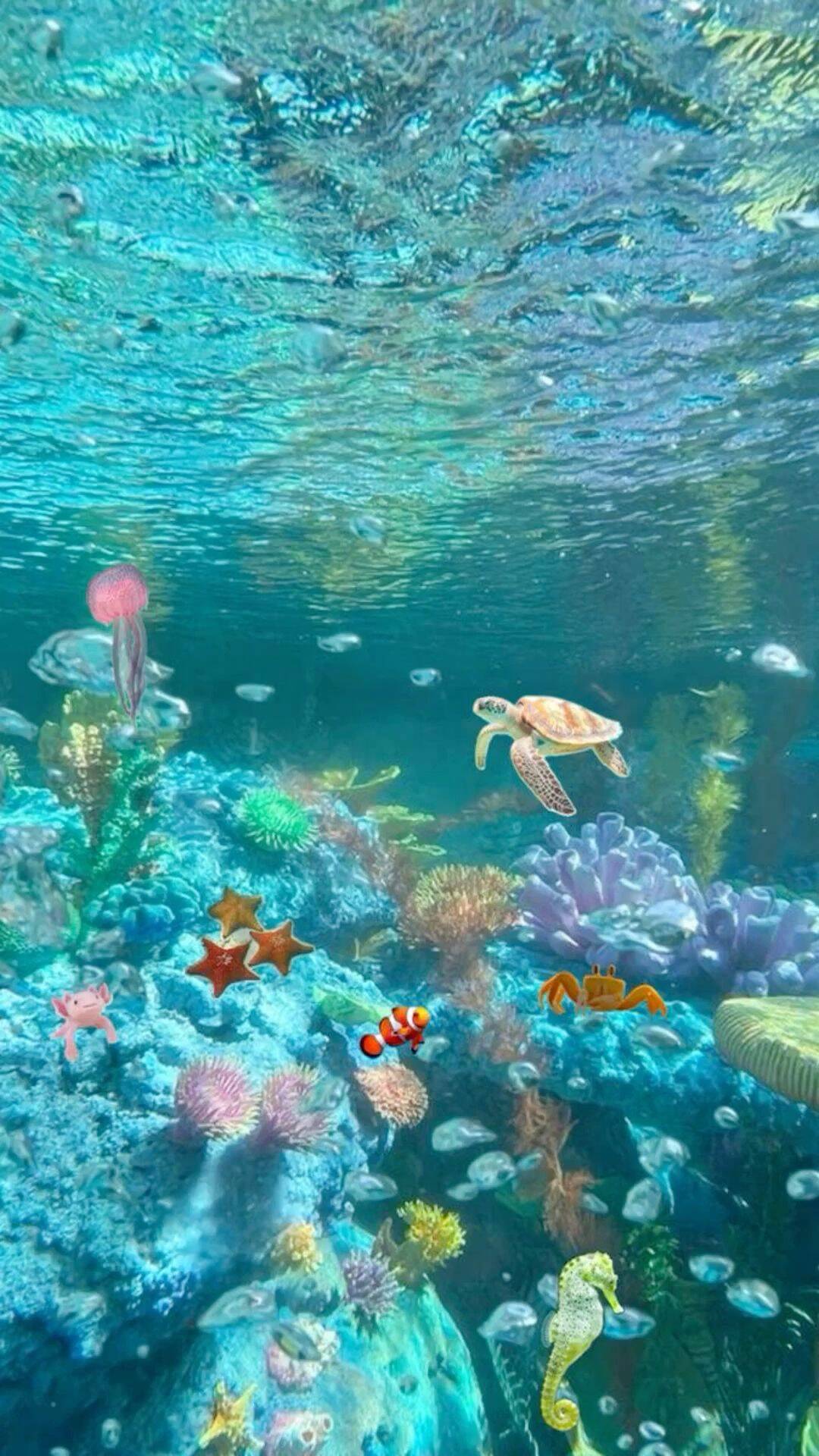 Papel de Parede de Praia com Vida Marinha Colorida para Celular/iPhone 4K