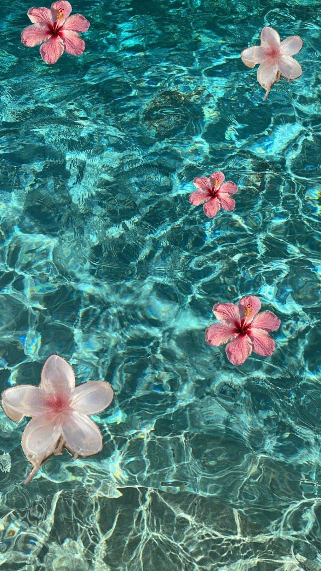 Papel de Parede de Praia com Flores Flutuantes para Celular/iPhone 4K