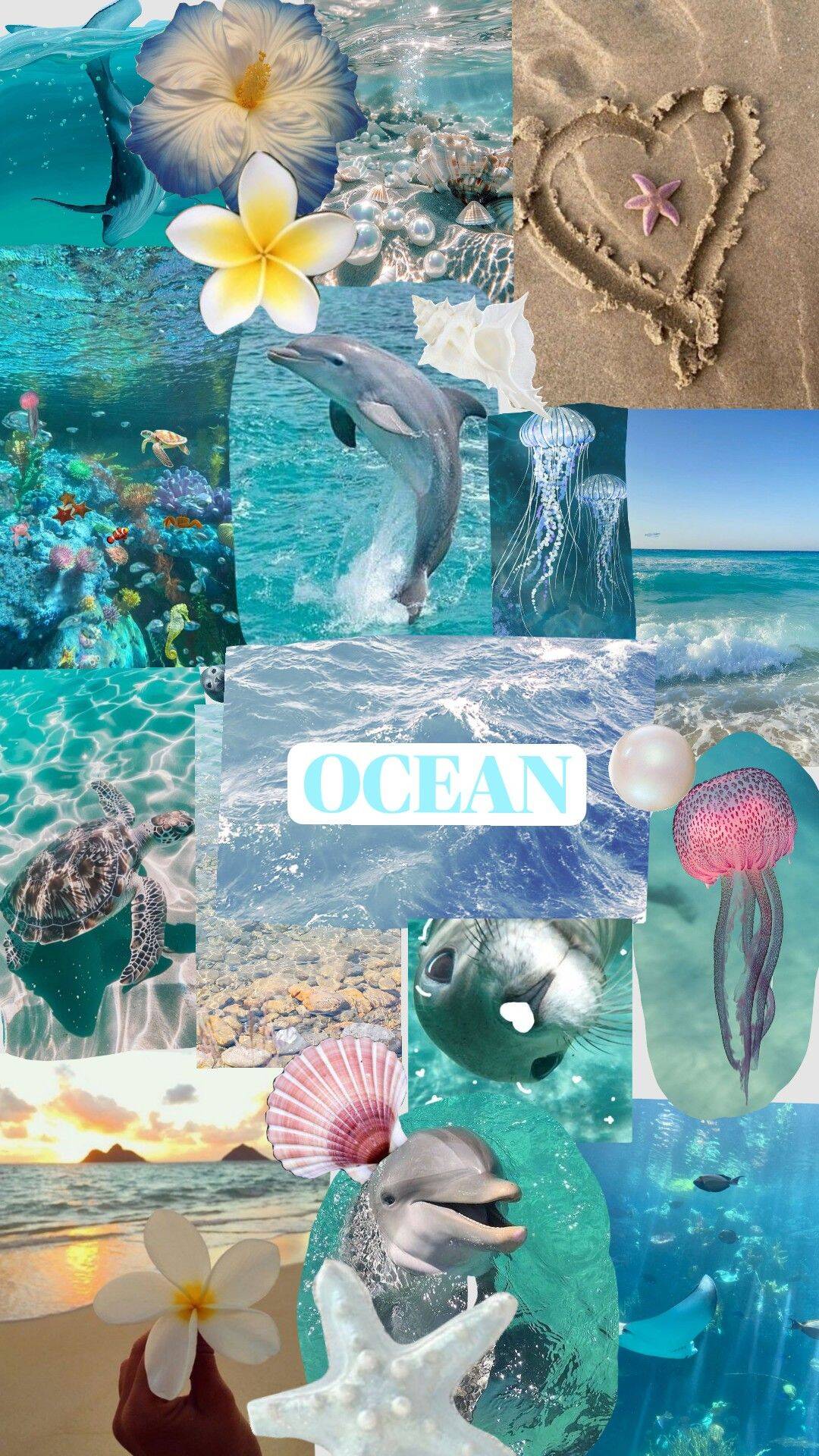 Papel de Parede de Praia com Oceanos e Vida Marinha para Celular/iPhone 4K