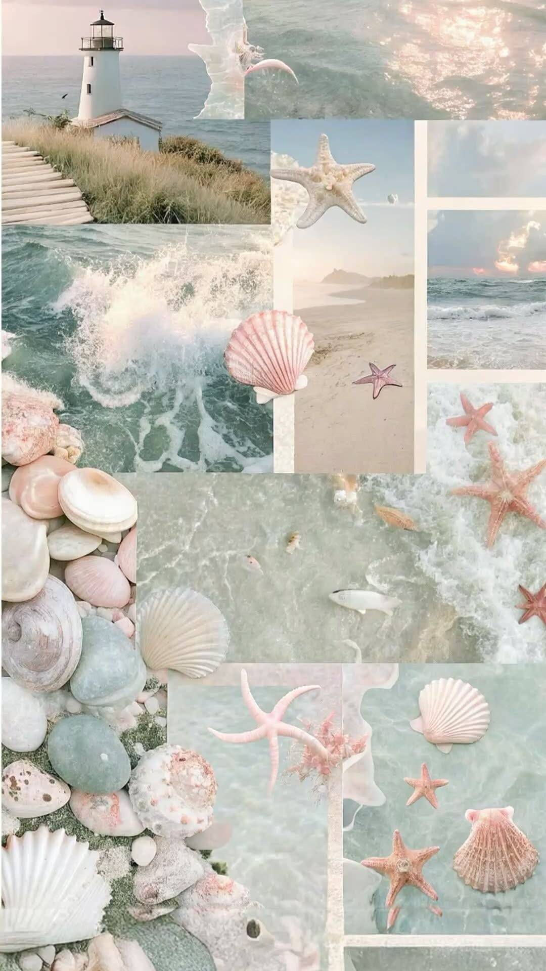 Fondo de Pantalla de Playa con Conchas y Estrellas de Mar para Celular/iPhone 4K