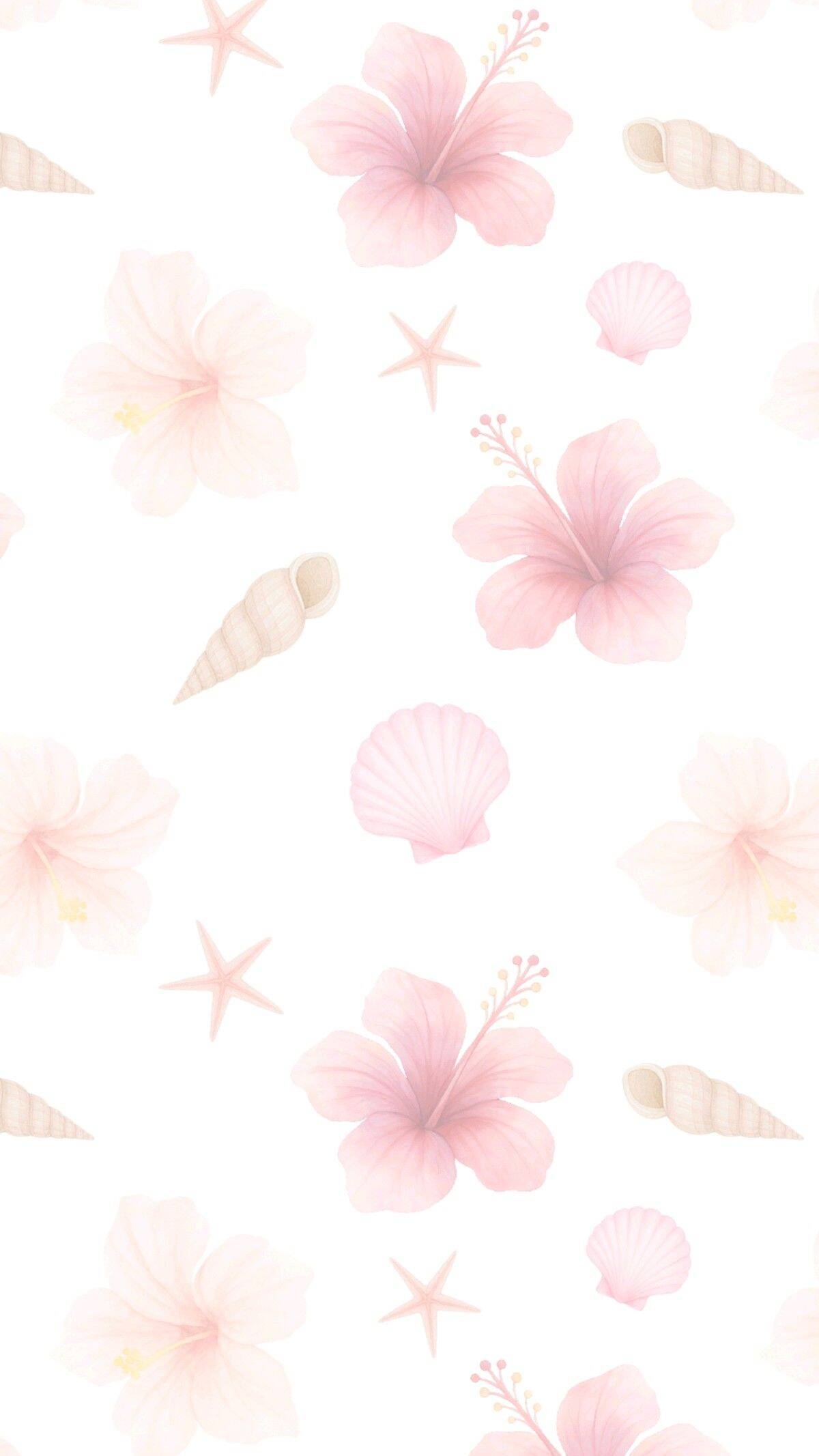 Fondo de Pantalla de Playa con Flores y Conchas para Celular/iPhone 4K