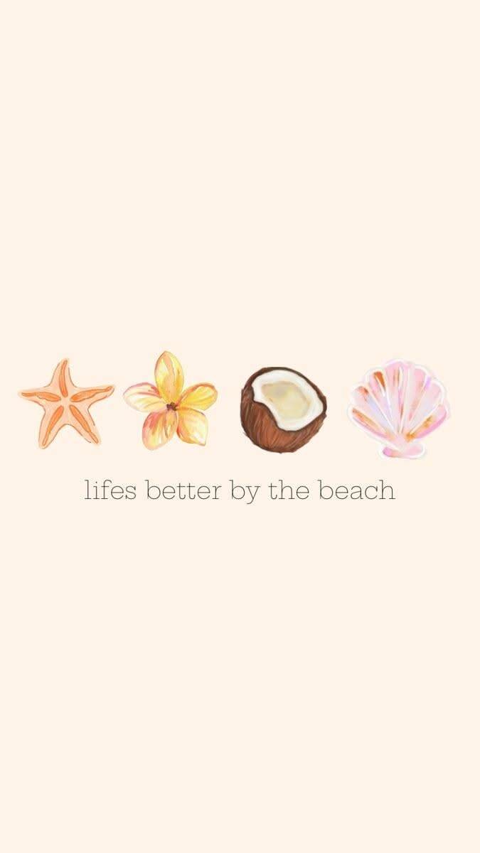 Fondo de Pantalla de Playa con Estrellas de Mar y Conchas para Celular/iPhone 4K