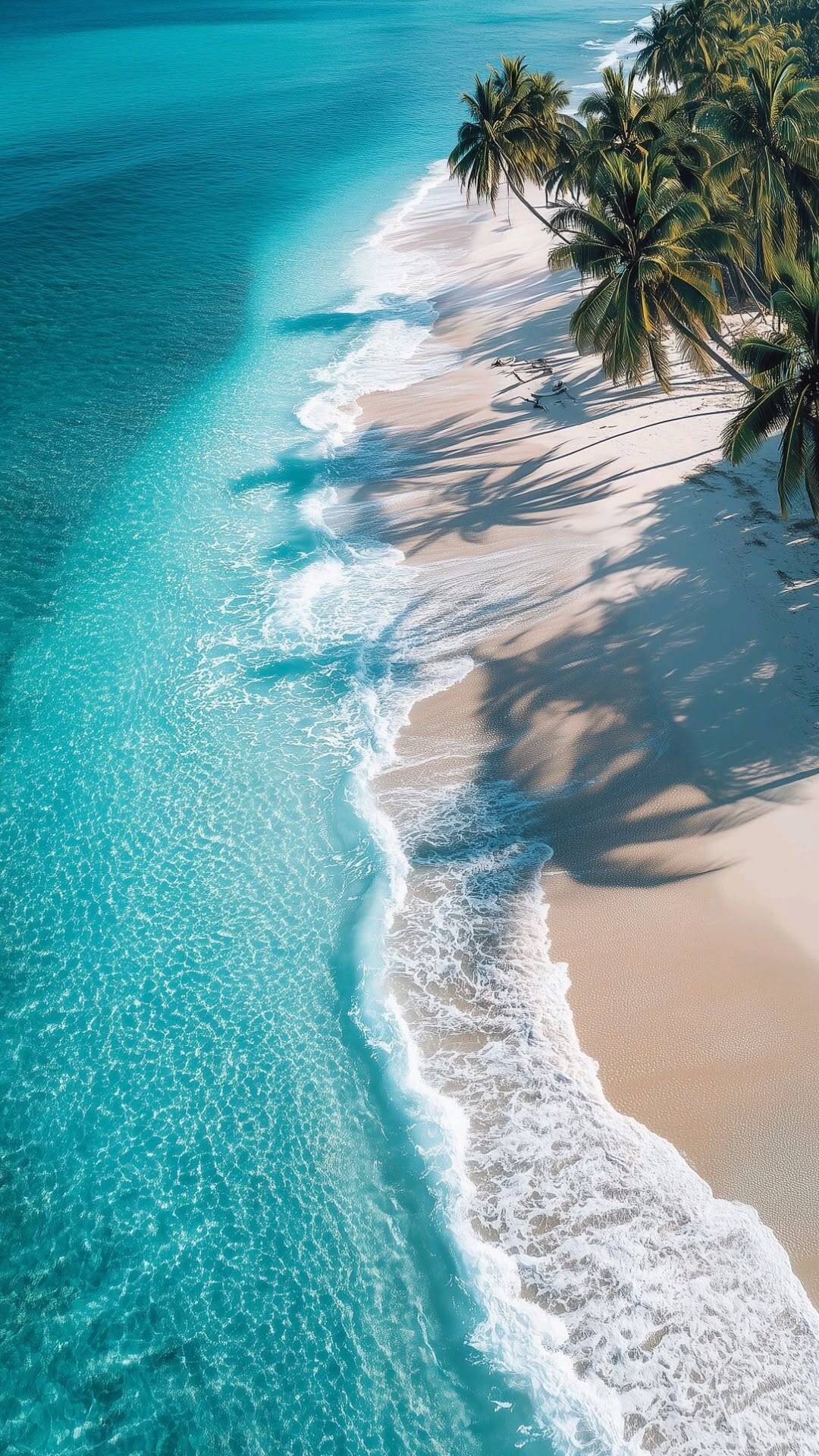 Fondo de Pantalla de Playa con Agua Cristalina y Palmeras para Celular/iPhone 4K