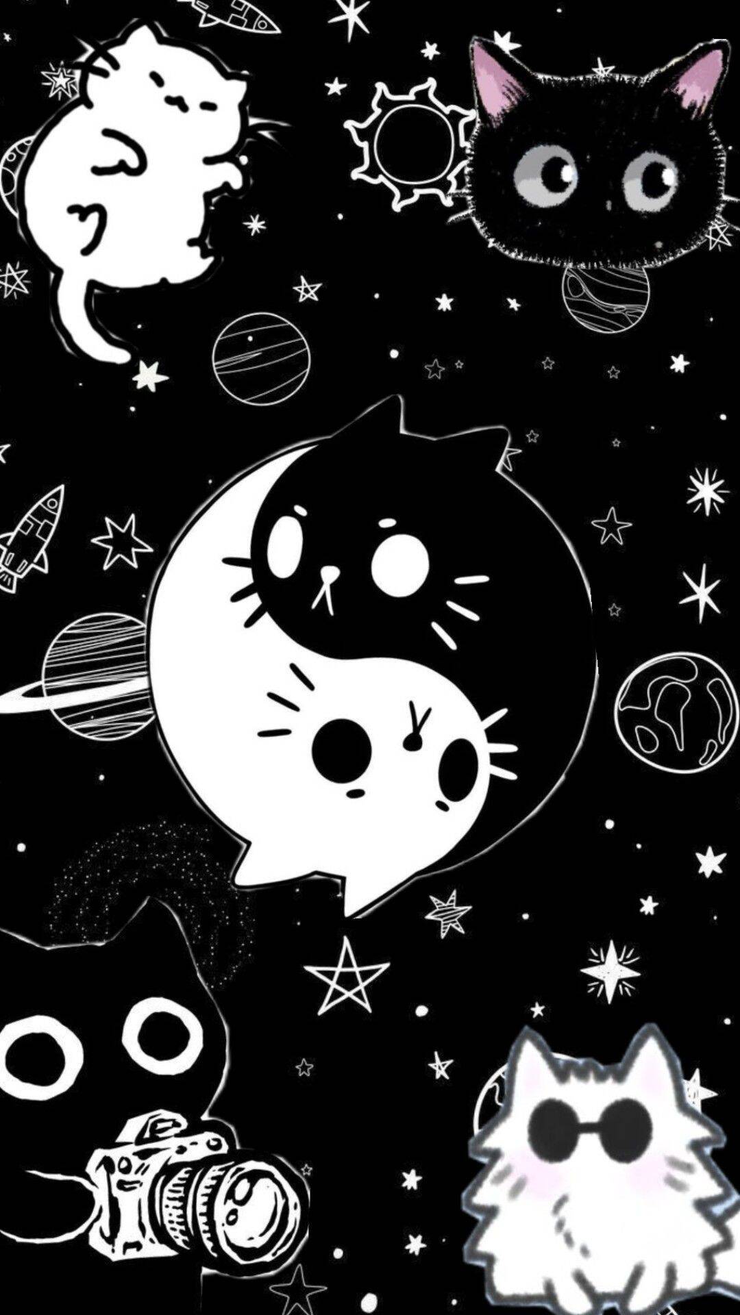 Papel de Parede Preto e Branco com Gatos para Celular/iPhone 4K