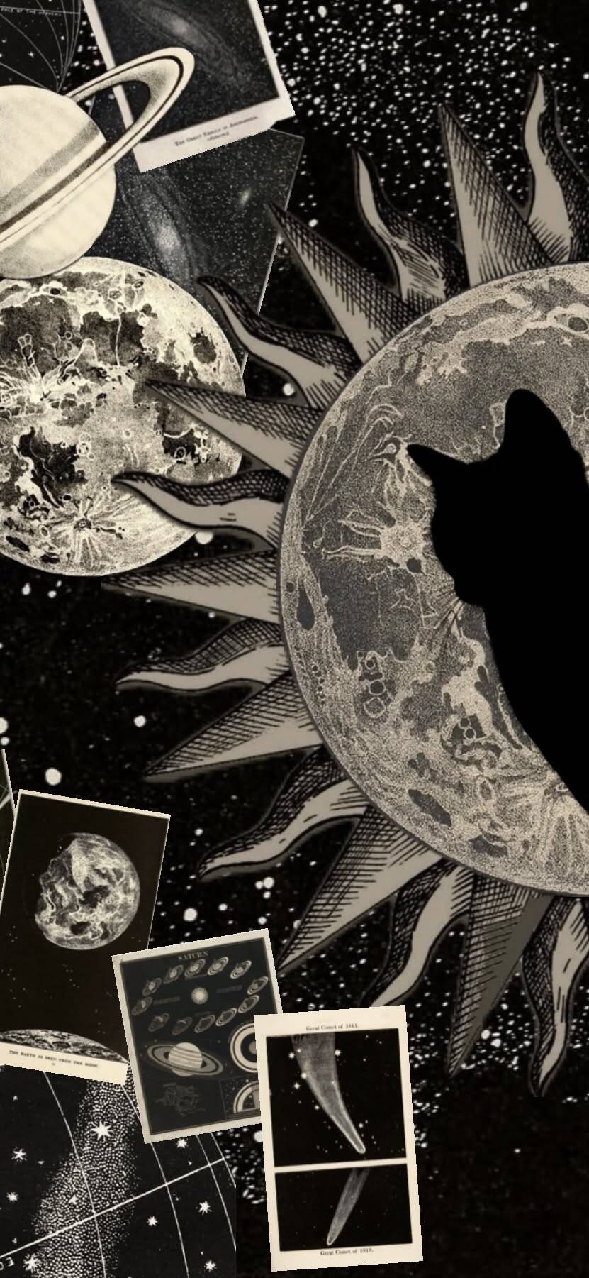 Black and White Wallpaper with Cat and Space for Cell Phone/iPhone 4K