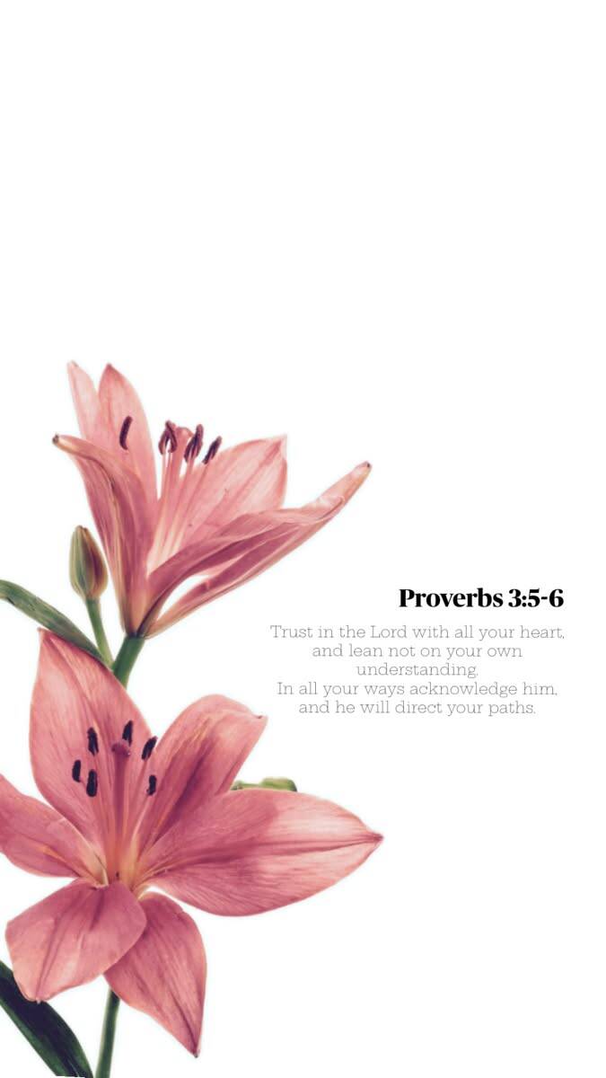Papel de Parede Cristão com Versículo de Provérbios 3:5 6 para Celular/iPhone 4K