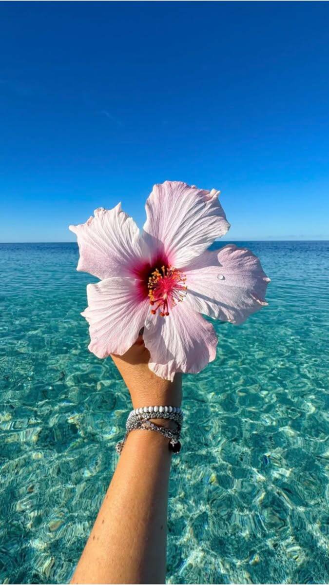 Fondo de Pantalla de Playa con Flor de Hibisco y Mar Cristalino para Móvil/iPhone 4K