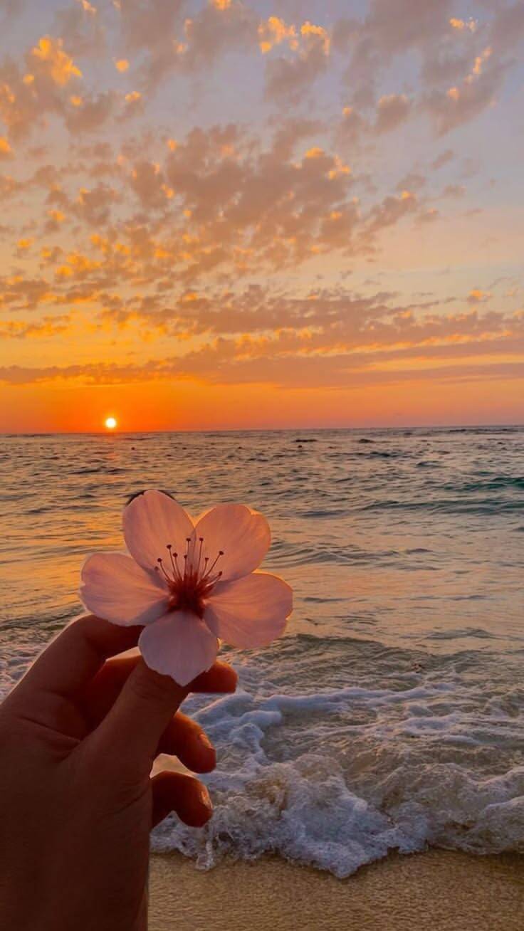 Beach Wallpaper
