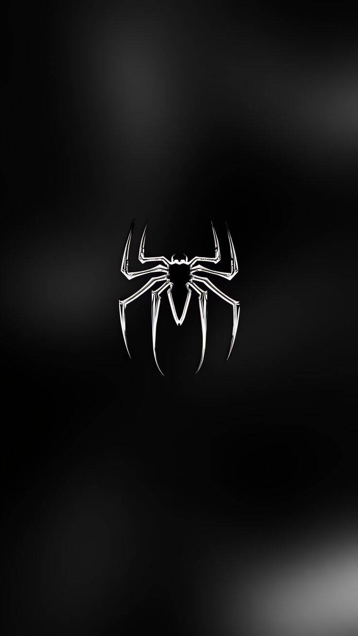 Fondo de Pantalla de Araña Blanco y Negro para Celular/iPhone 4K
