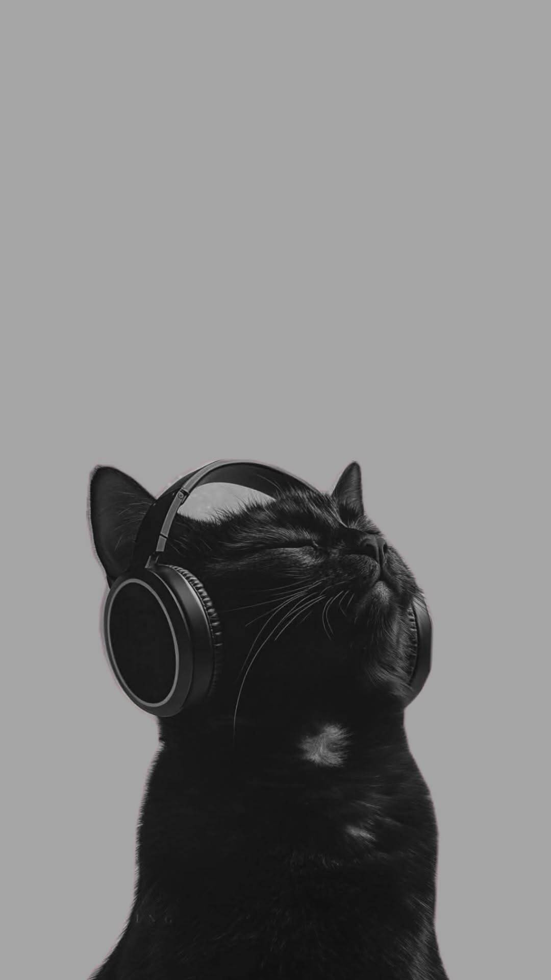 Papel de Parede Preto e Branco de Gato com Fones para Celular/iPhone 4K