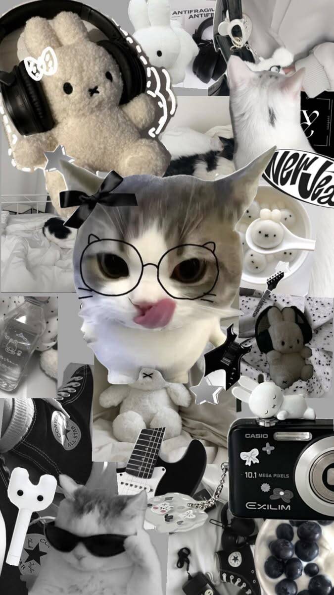 Papel de Parede de Gato Fofinho com Óculos e Brinquedos para Celular/iPhone 4K