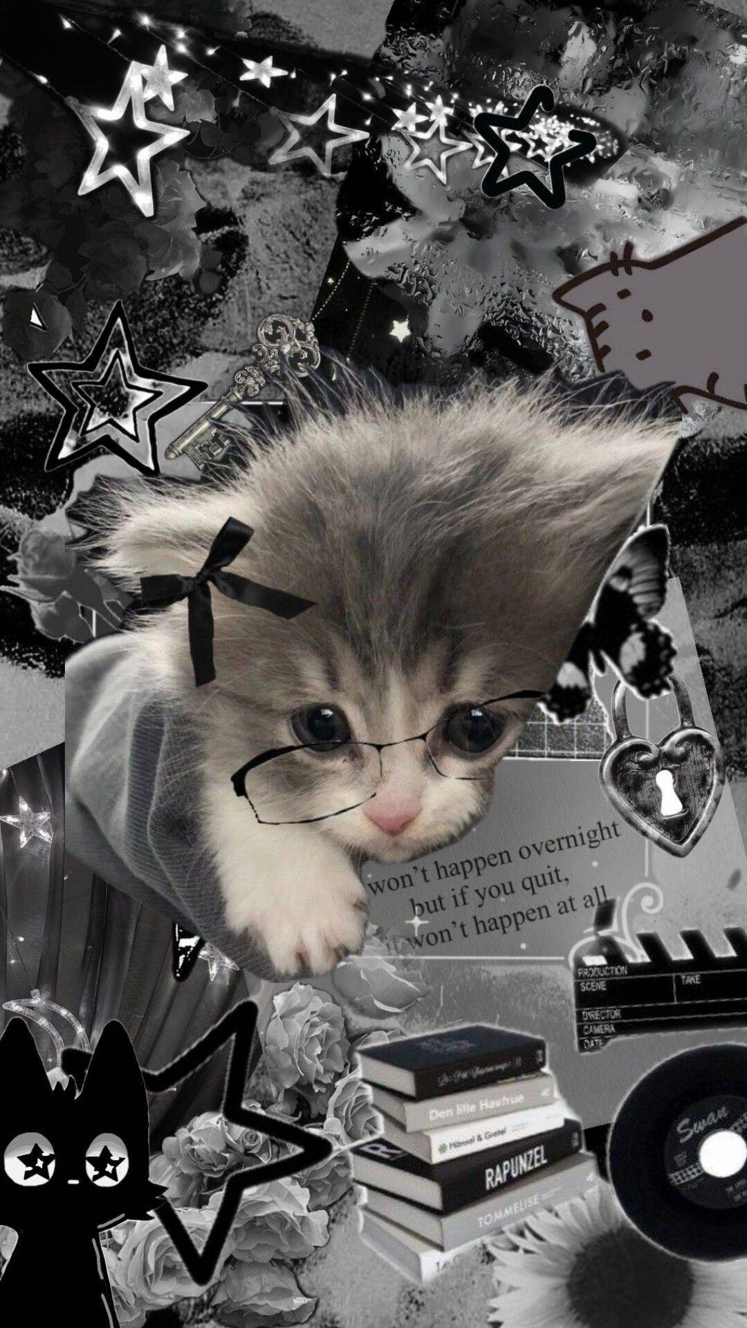 Papel de Parede de Gatinho Engraçado com Óculos para Celular/iPhone 4K