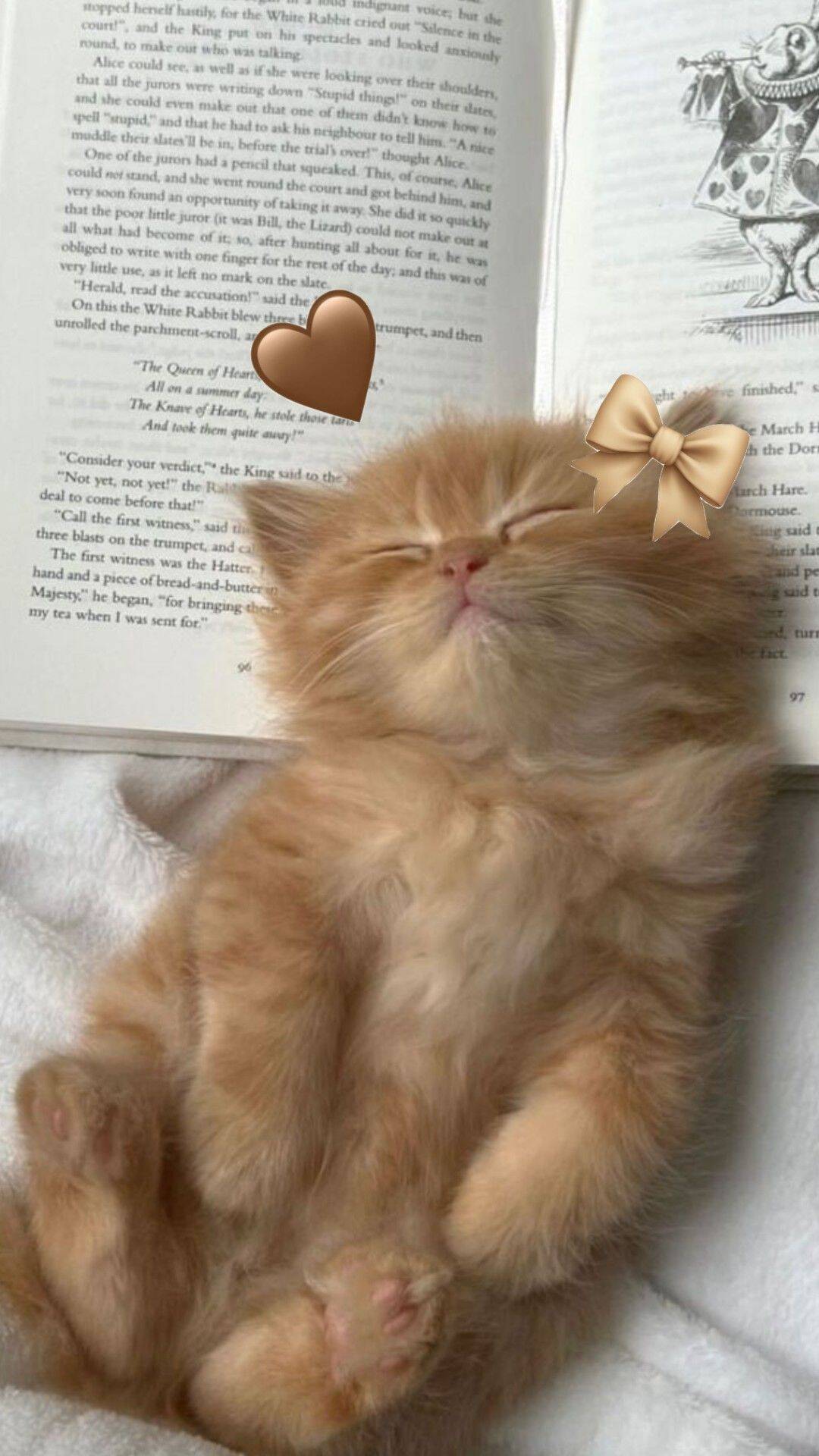 Papel de Parede de Gatinho Laranja Dormindo Aconchegado para Celular/iPhone 4K