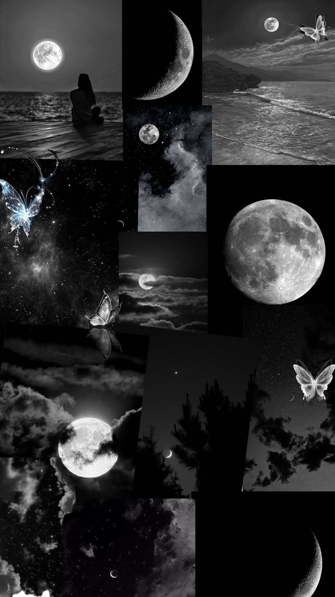 Fondo de Pantalla Blanco y Negro con Luna y Mariposas para Celular/iPhone 4K